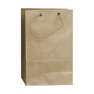 BOLSA KRAFT CON ASA Y OJILLO #12