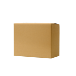 Caja Chica