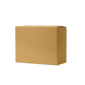 Caja Chica